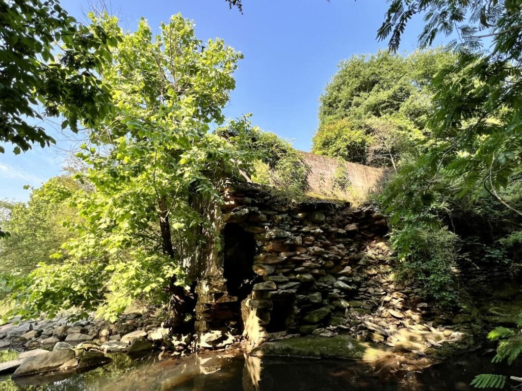 Lee’s Mill on the Flint River