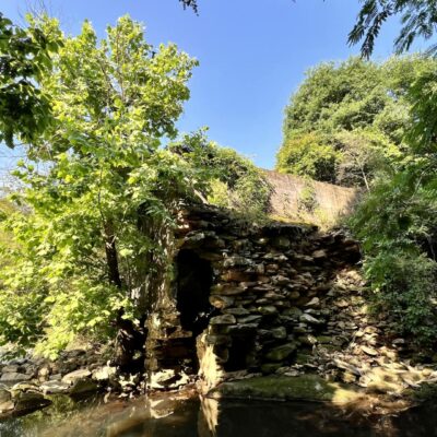 Lee’s Mill on the Flint River