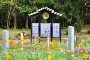 Visit LaGrange