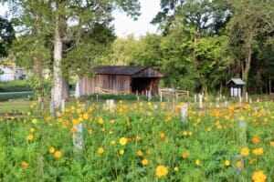 Visit LaGrange