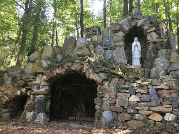 11 a.m. Tour
